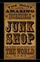 The Most Amazing Incredible Junk Shop