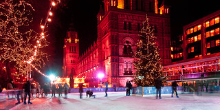 Ice Rink, Natural History Museum (ii)