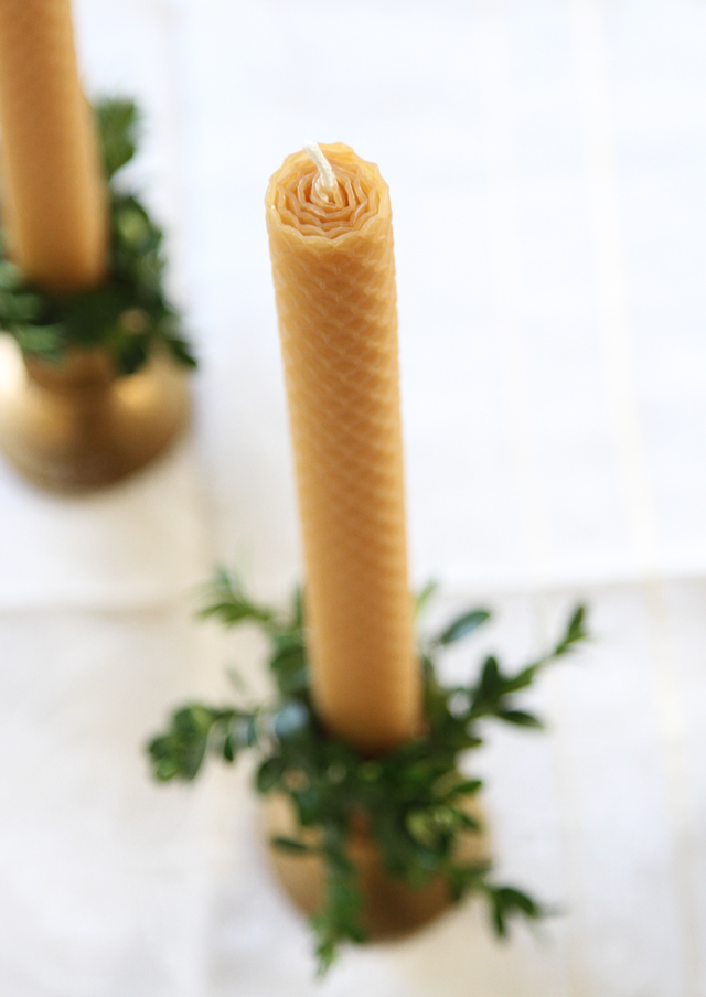 candles786beeswax candle and boxwood