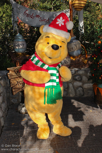 Meeting the Pooh friends