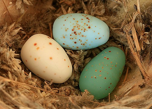 Lampwork Speckled Eggs