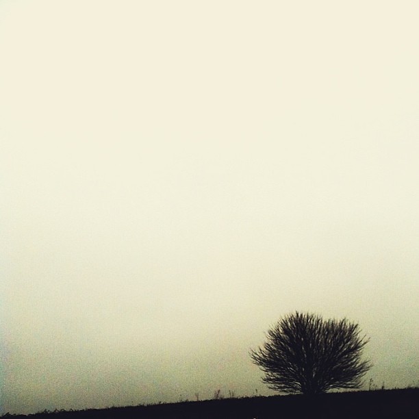 Midwest landscape #WHPfoggy #landscape #fog #iowa #weekending