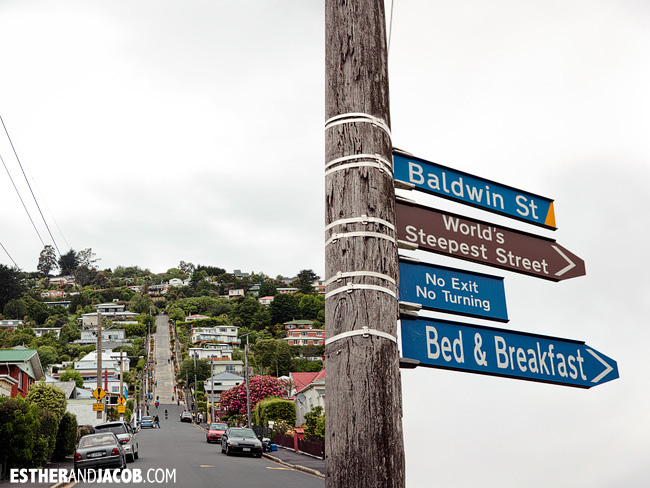 Baldwin Street Dunedin World's steepest street | Day 2 New Zealand Contiki Tour | Lake Ohau to Dunedin | A Guide to South Island