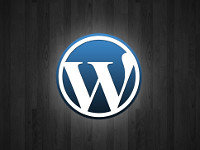 What are WordPress Themes?