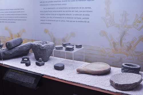 Museo del Valle de Tehuacán (13)