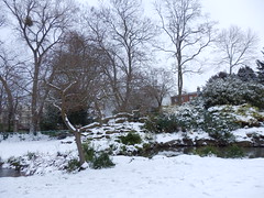 Snowy Cheltenham, 2013