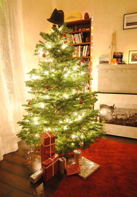 2012 SF Christmas Tree
