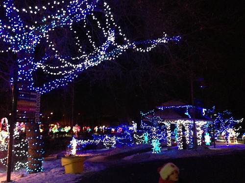 2012-12-20 zoo lights