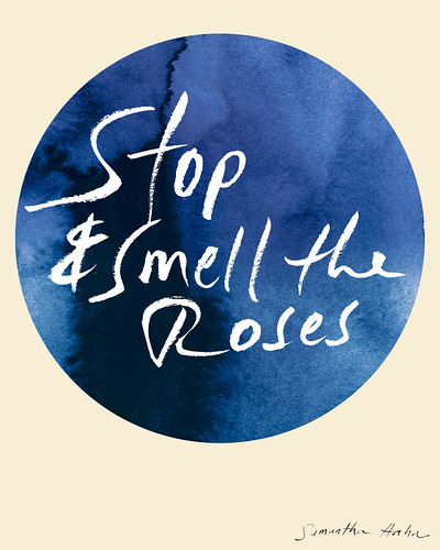 stop-and-smell-the-roses_Samantha-Hahn