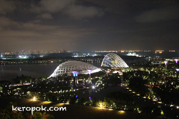 Gardens By The Bay Night View