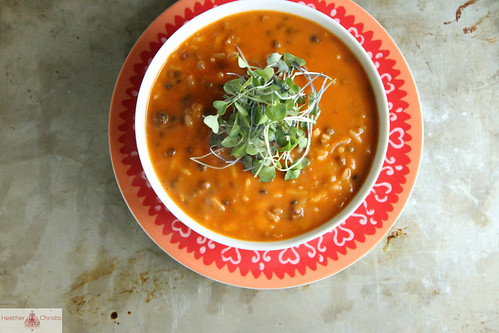 Spicy Tomato Lentil Soup
