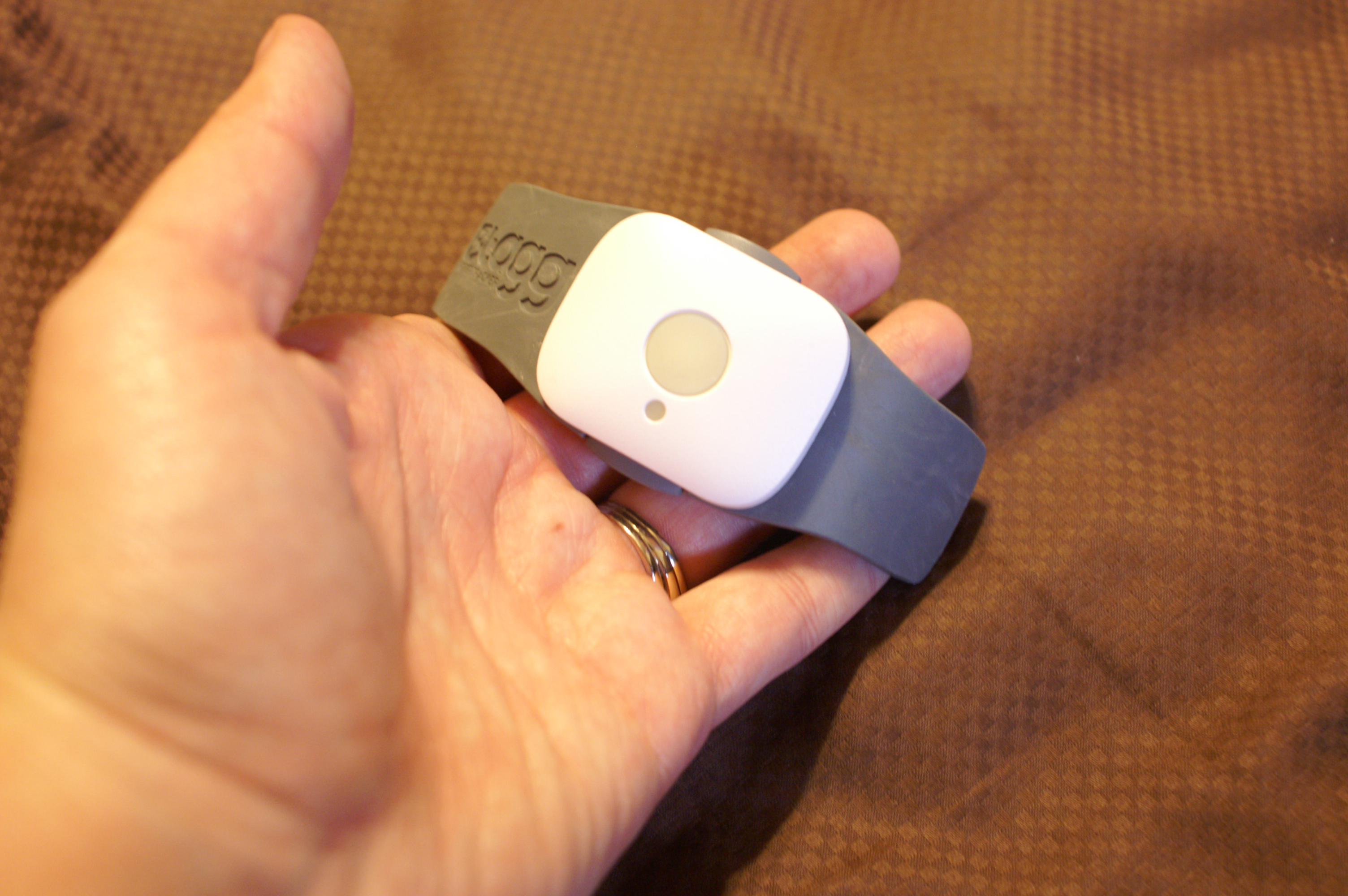 The Tagg pet tracker sensor that goes on the pet.
