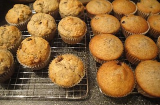 muffins.jpg