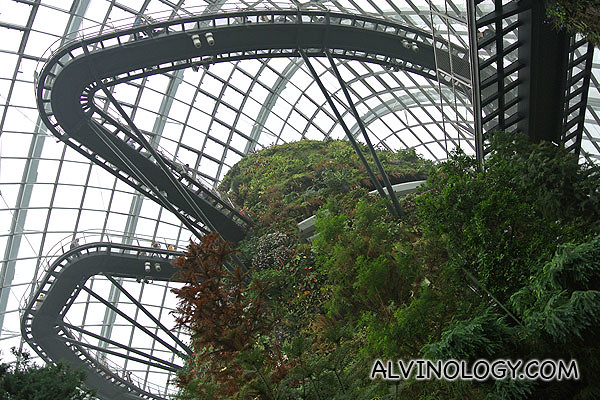 Revisiting Cloud Forest 