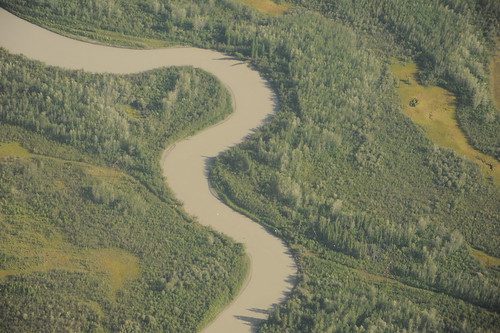 Channel of a muddy winding river, central plains, tundra, trees, seen from above, near Fairbanks, Alaska, USA by Wonderlane