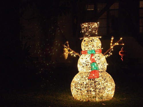 Neighborhood Holiday Lights 2012 - 19