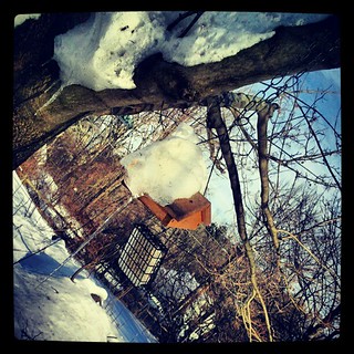 Ice, Ice Baby! Even the #bird feeders have #icicles