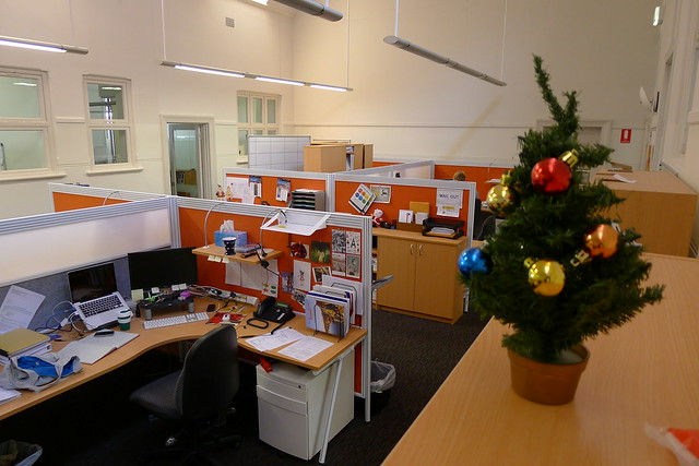 Mini Christmas tree overlooking the office