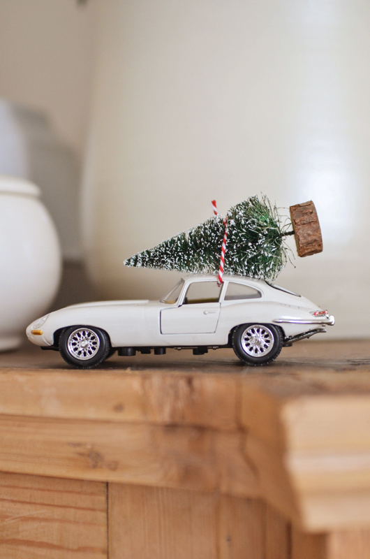 decorazione Natale automobile