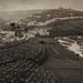 Exposición fotografías antiguas "Gran Canaria desconocida". Las colecciones fotográficas de la Casa de Colón.Las Palmas de Gran Canaria