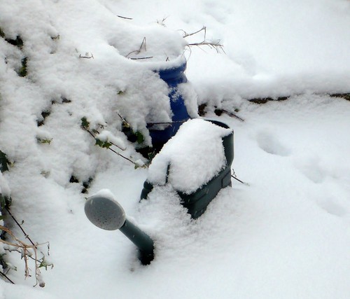 Watering Can in The Snow