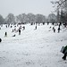 Hilly Fields in the snow