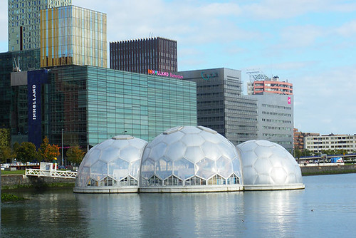 鹿特丹的浮動館。（照片：Inhabitat。）