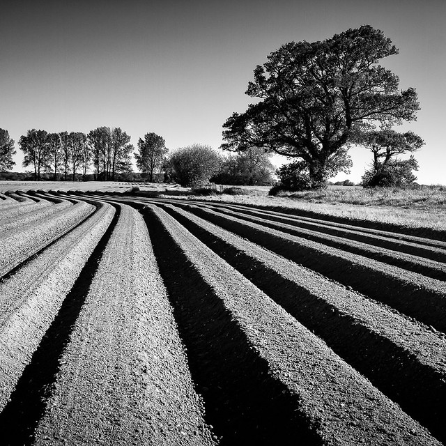 20120526-Ploughed field3.jpg