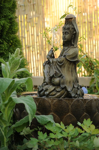 Quan Yin fountain, female bodhisattva, in a lotus basin, nectar, A Garden for the Buddha, bamboo fence, plants, Seattle, Washington, USA by Wonderlane