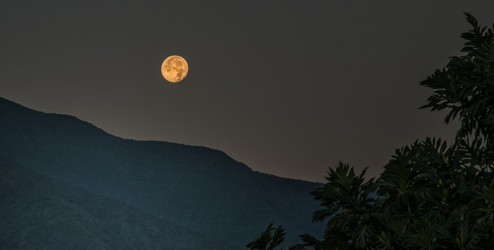 Maui Moonset