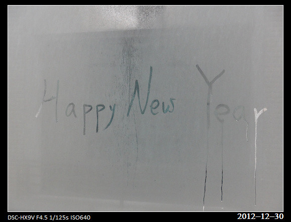 20121230_Happy New Year