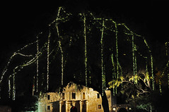 San Antonio Riverwalk and Alamo - Holiday Lights