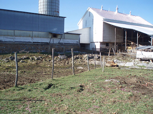 Roof runoff and high concentrations of livestock at the barn and cattle handling area caused soil erosion and bacterial contamination of Smith Creek.  