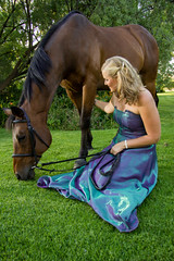 Ball Gowns & Horses