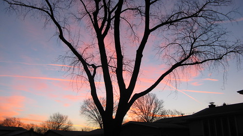 Morning sunrise.  Mount Prospect Illinois.  December 2012. by Eddie from Chicago