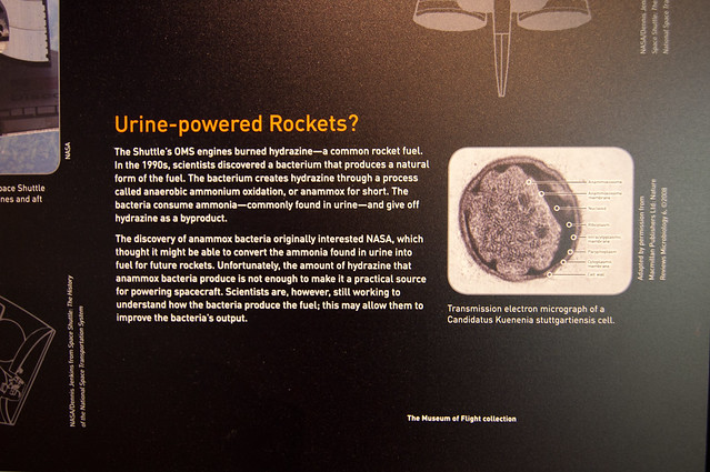 Urine powered rockets