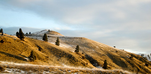 Winter in Montana by Dalmatica