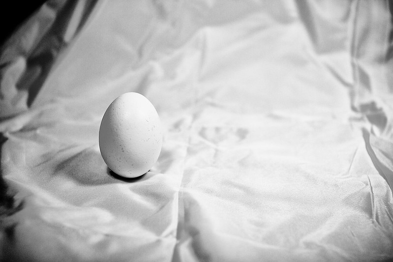 Egg on White Satin