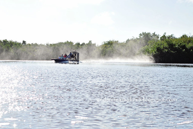 airboat in water