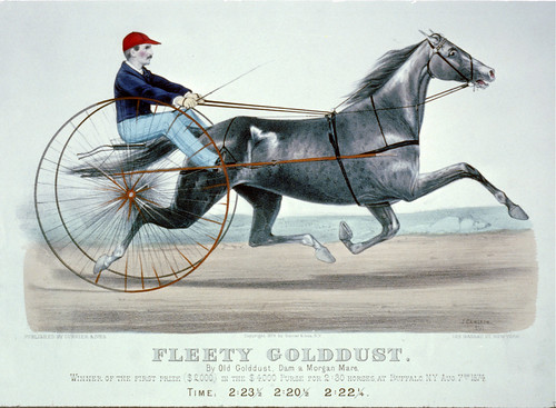 008-Imagen carreras caballos trotones-Library of Congress