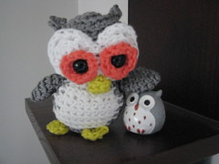 Little Crochet Owl