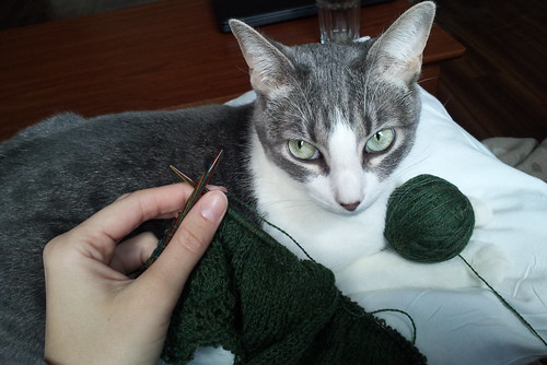 lily knitting_cropped