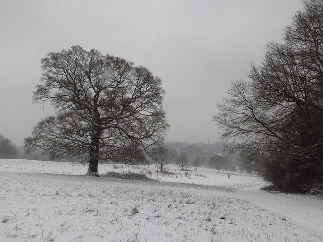 Hampstead Heath in the Snow