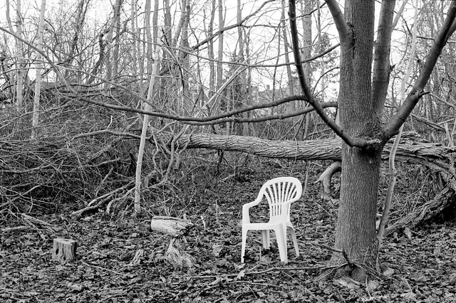 Chair in the Woods