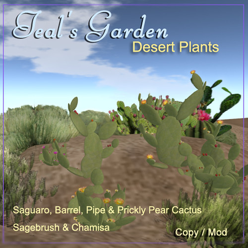 Desert Plants @ Teal's Garden by Teal Freenote