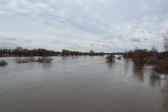 La Moselle - Vue depuis le Pont de la D55