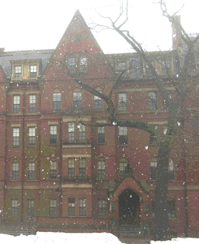 Snow Fall at Harvard (Digitally Modified and Posterized Photo) by randubnick