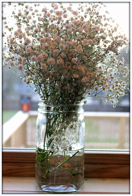 fresh flowers in a mason jar