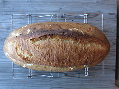Whole-Wheat Rustic Italian Bread