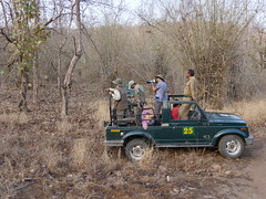 India 21 Panna National Park